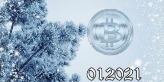 Bitcoin Fundamental Briefing, January 2021