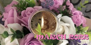 Bitcoin Fundamental Briefing, March 2022