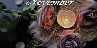 Bitcoin Fundamentals Briefing, November 2020