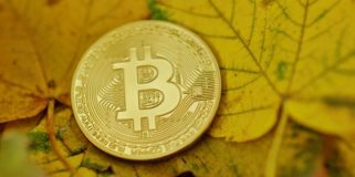 Bitcoin Fundamentals Briefing, October 2020